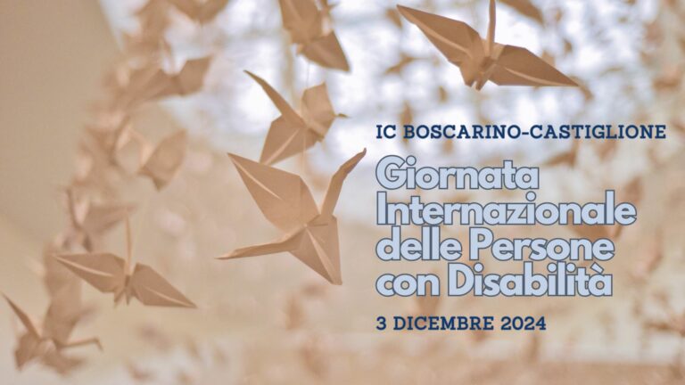 3 dicembre 2024 _ Giornata Internazionale delle Persone con Disabilità